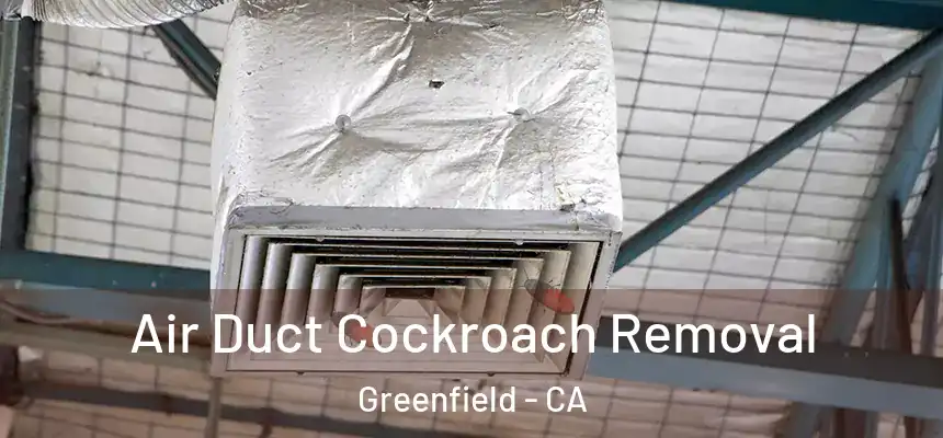 Air Duct Cockroach Removal Greenfield - CA