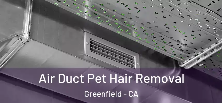 Air Duct Pet Hair Removal Greenfield - CA