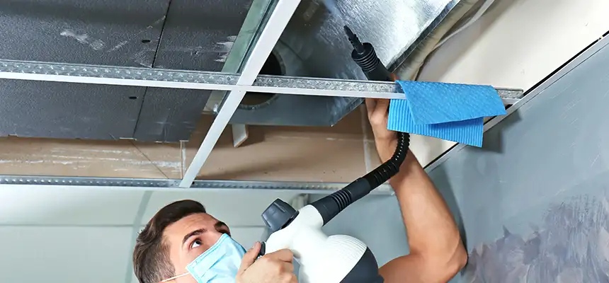 Our Air Duct Rodent Removal Services in Greenfield, CA