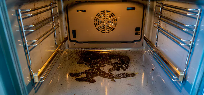 Our Dryer Vent Mold Cleaning Services in Greenfield, CA