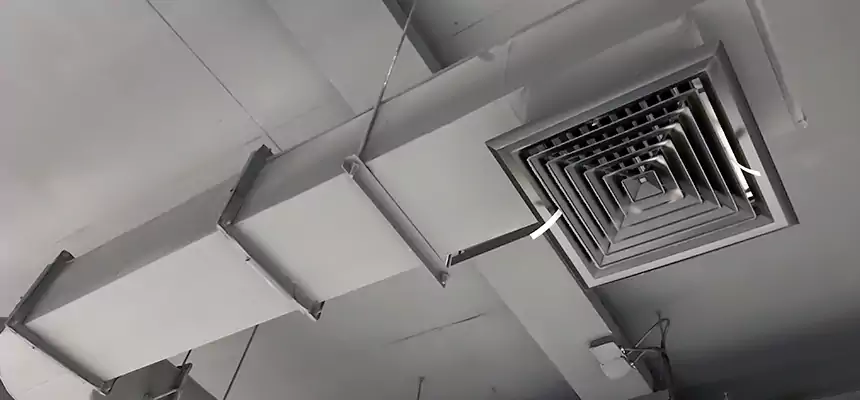 Our Pest Removal From Ducts Services in Greenfield, CA