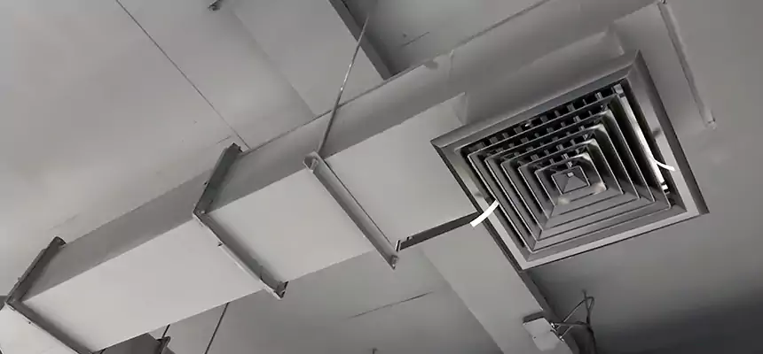 Our Rodent Droppings In Vents Services in Greenfield, CA