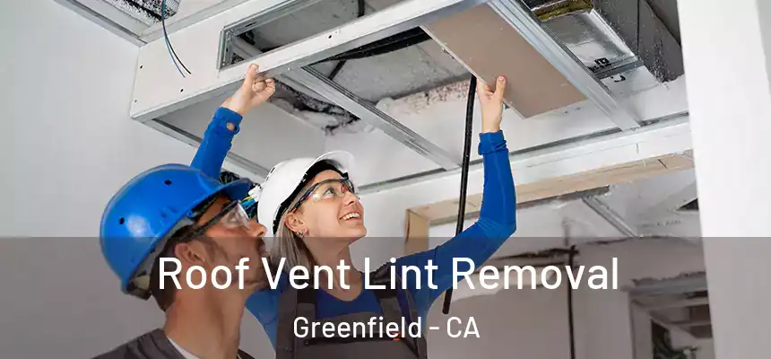  Roof Vent Lint Removal Greenfield - CA