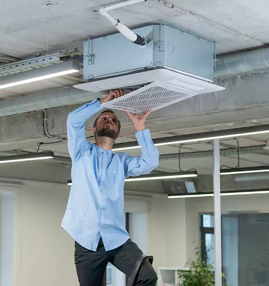Advanced Rodent Droppings In Vents in Greenfield, CA